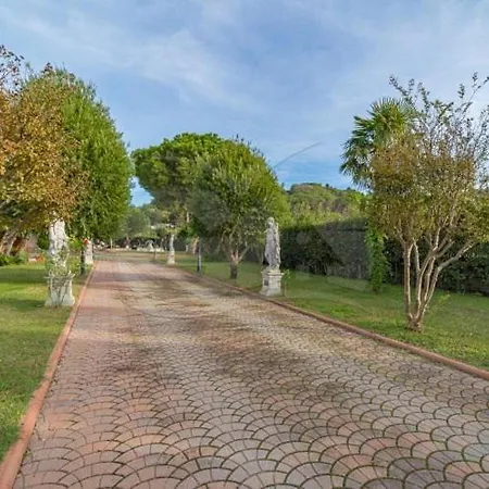 Albero Del Pepe 2 - Goelba * Marina di Campo