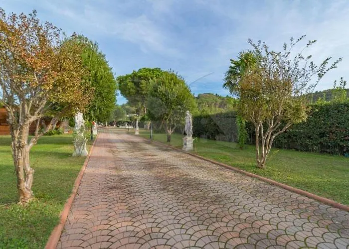 Albero Del Pepe 2 - Goelba * Marina di Campo