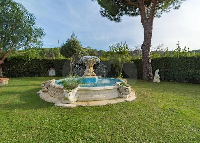 Albero Del Pepe 2 - Goelba * Marina di Campo