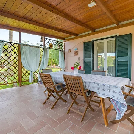 Albero Del Pepe 2 - Goelba