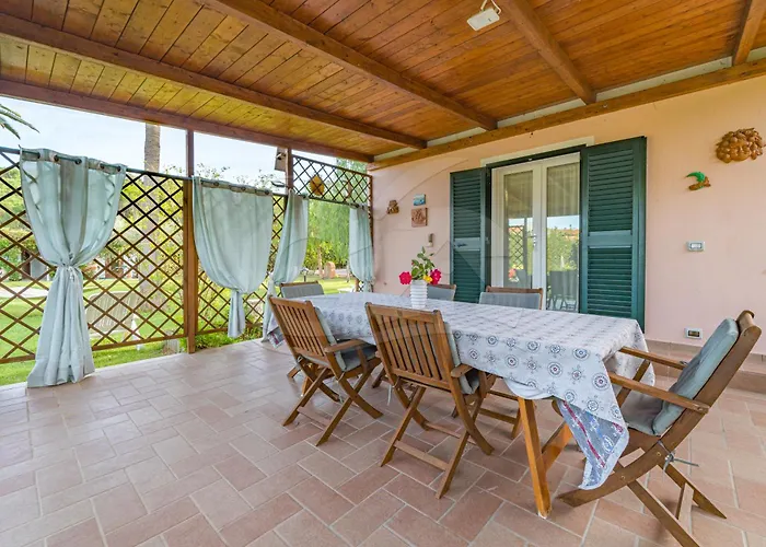 Albero Del Pepe 2 - Goelba