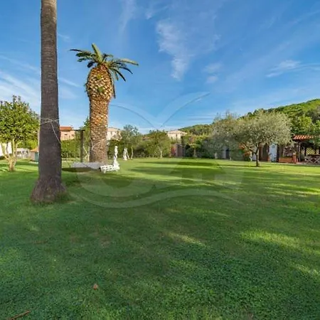 Albero Del Pepe 2 - Goelba *