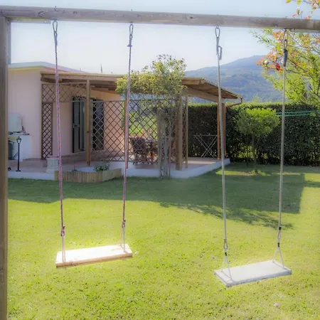 Albero Del Pepe 2 - Goelba *