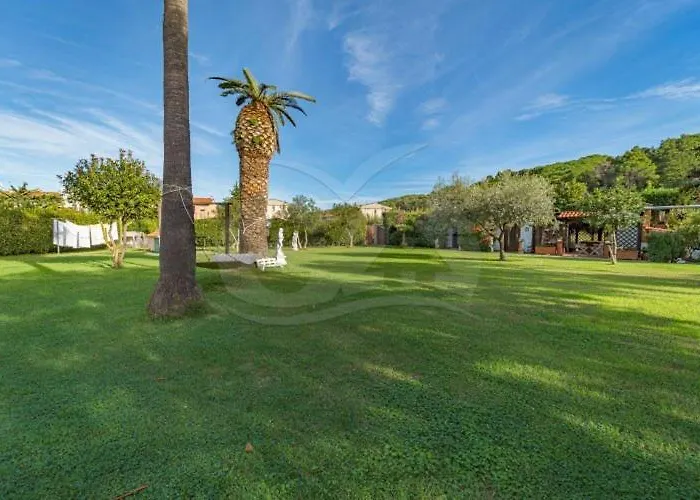 Albero Del Pepe 2 - Goelba *