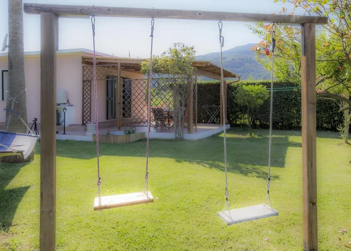 Albero Del Pepe 2 - Goelba *